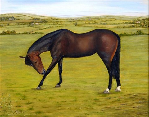 Lou - the dutch warmblood